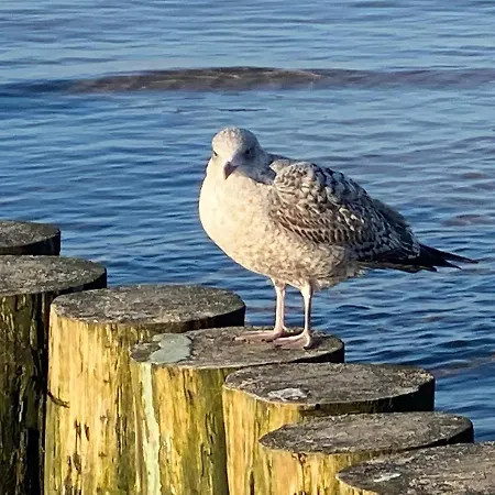 Apartamento Horizon Park 1 - Balkon Taras I Parking