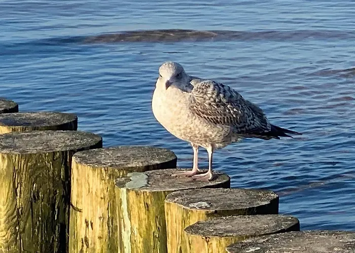 Διαμέρισμα Horizon Park 1 - Balkon Taras I Parking