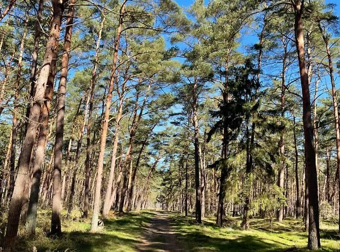 Διαμέρισμα Horizon Park 1 - Balkon Taras I Parking